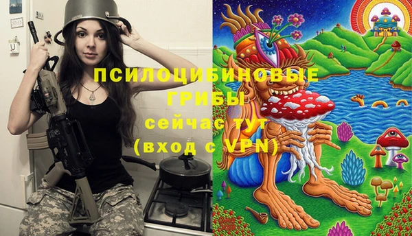 PSILOCYBIN Нефтегорск
