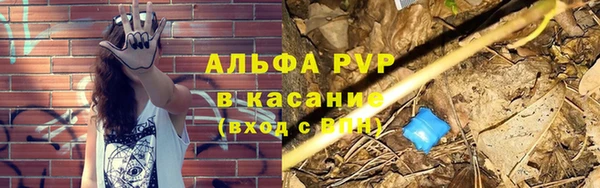 PSILOCYBIN Нефтегорск