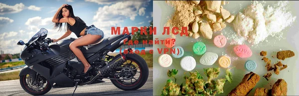 PSILOCYBIN Нефтегорск